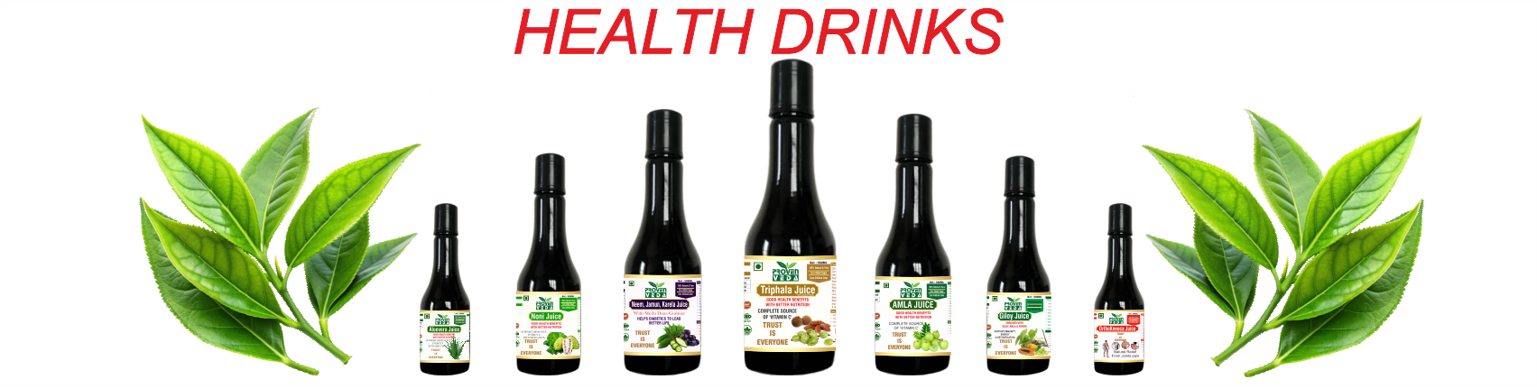 ProvenVeda Unilevel MLM Business Opportunity - Earn Passive Income with Herbal Products